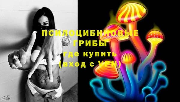 эйфоретик Бородино