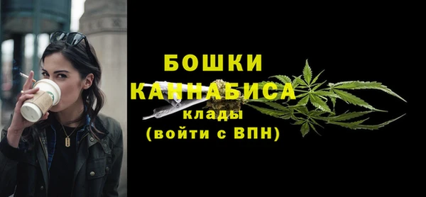 прущие грибы Бугульма