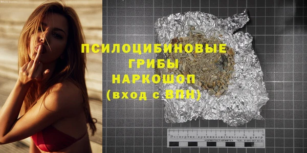 прущие грибы Бугульма