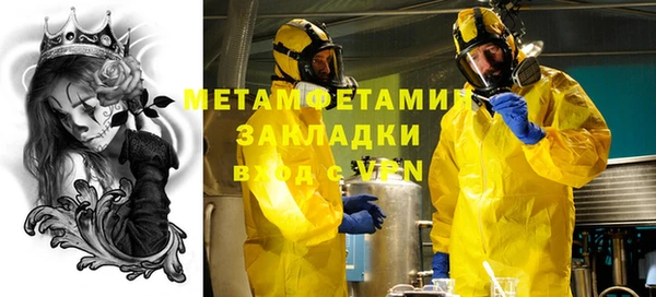 прущие грибы Бугульма