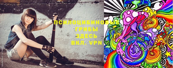 эйфоретик Бородино