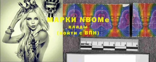 эйфоретик Бородино
