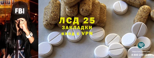 прущие грибы Бугульма
