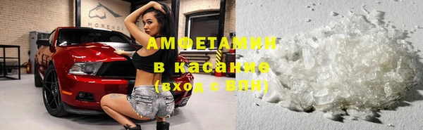 эйфоретик Бородино